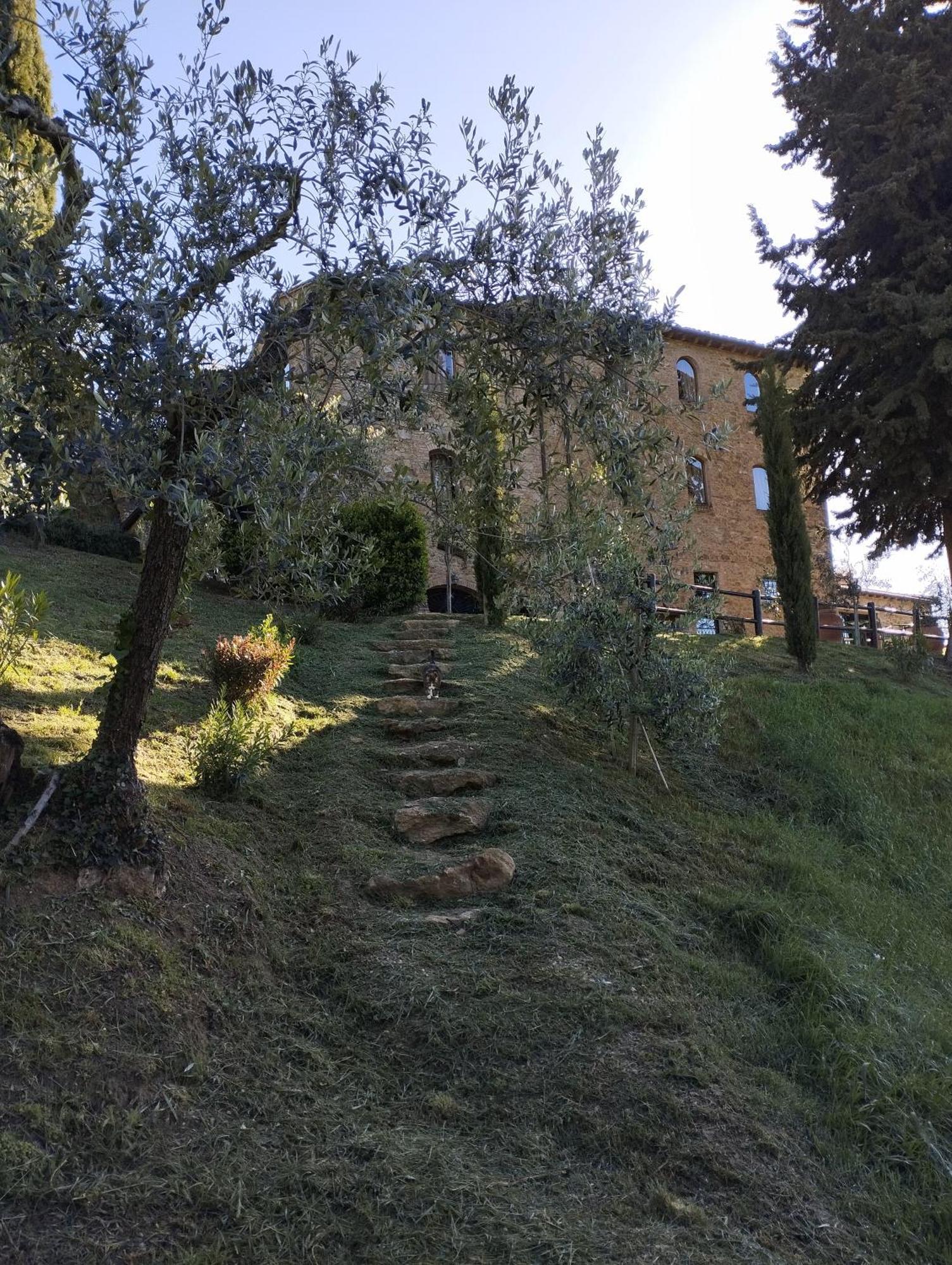 Rocca Degli Olivi Bed & Breakfast ซานจีมิญญาโน ภายนอก รูปภาพ