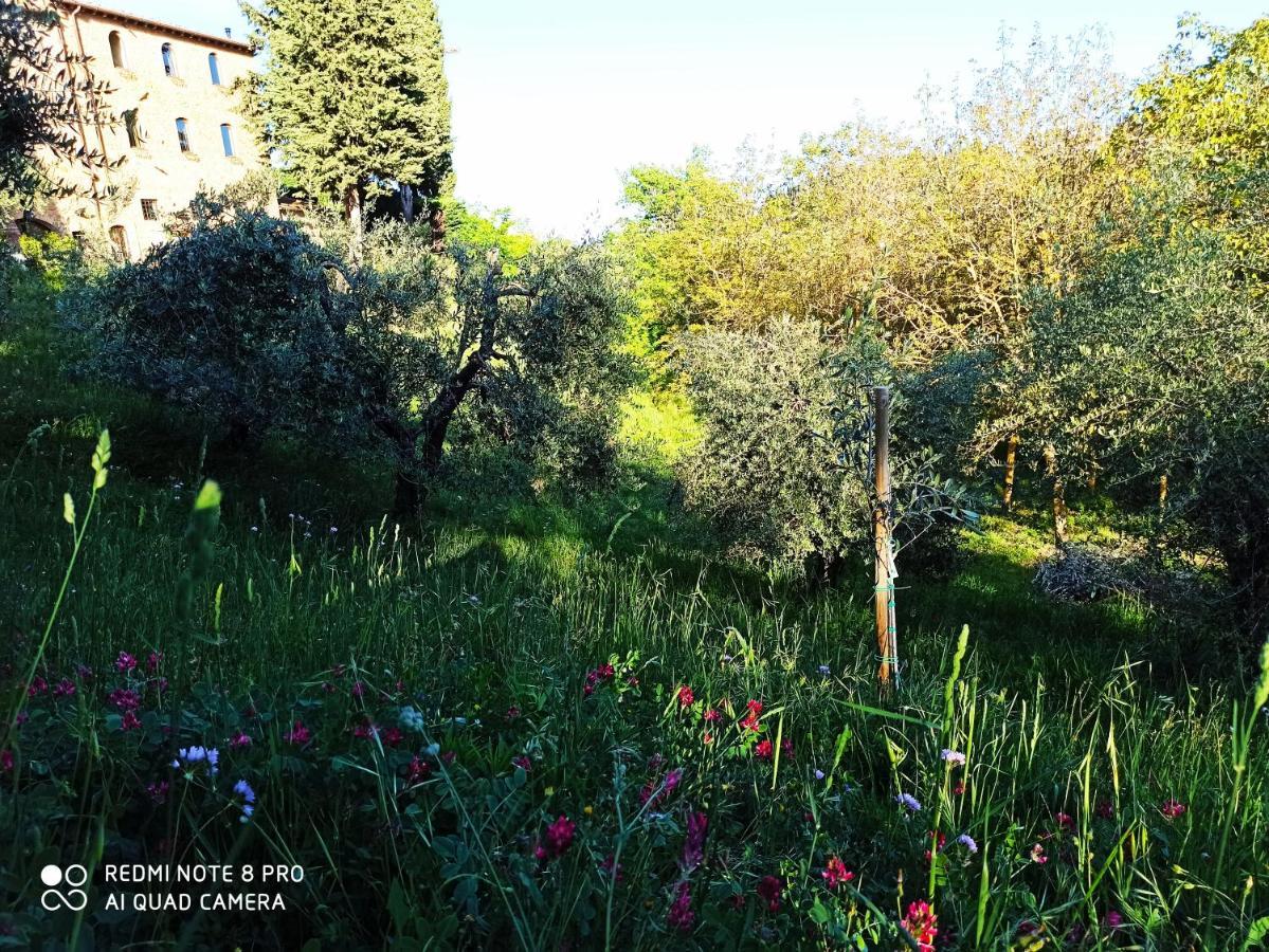 Rocca Degli Olivi Bed & Breakfast ซานจีมิญญาโน ภายนอก รูปภาพ