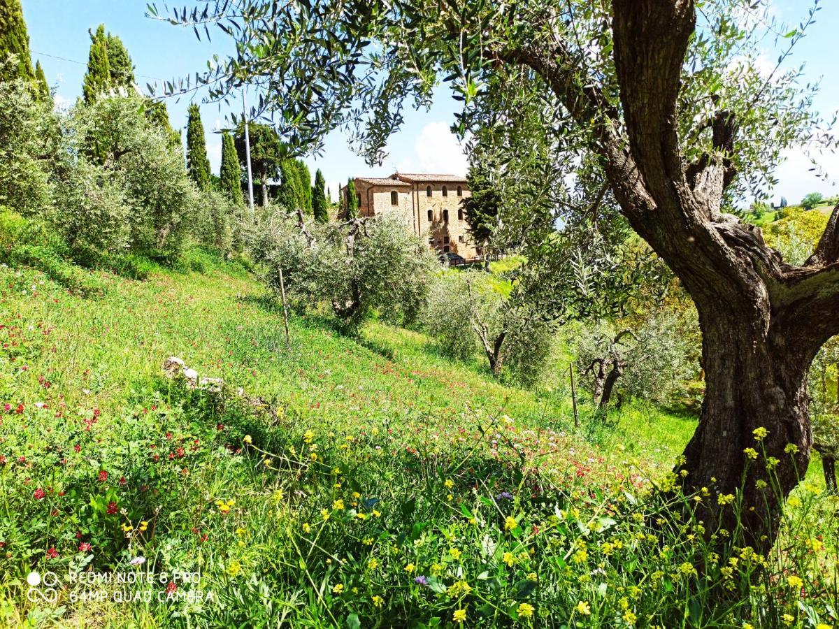 Rocca Degli Olivi Bed & Breakfast ซานจีมิญญาโน ภายนอก รูปภาพ